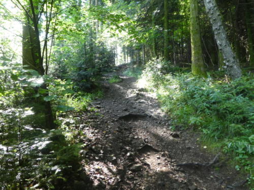 Steiler Anstieg zum Spitzfelsen