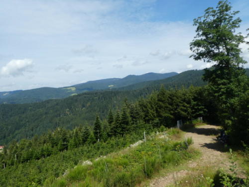 Blick vom Spitzfelsen zum Brandenkopf