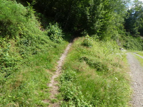 Westweg Links, Forstweg rechts