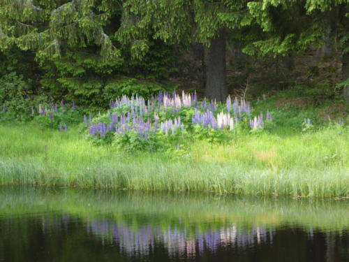 Bunte vielfalt spiegelt sich im Wasser