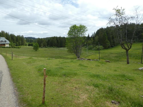 Blick über Gras- & Weideland