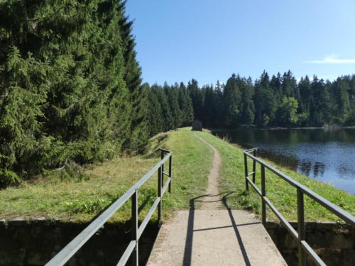 Oberer Hahnenbalzer Teich