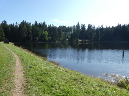 Oberer Hahnenbalzer Teich