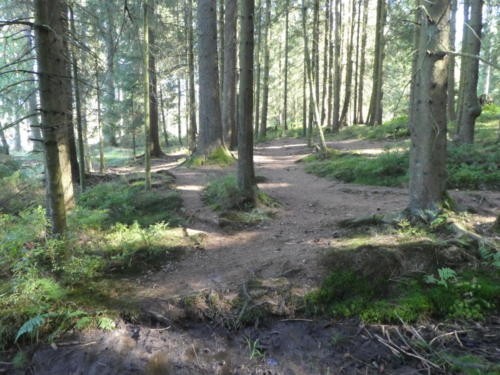 Labyrinthähnliche Wegeführung am Prinzenteich