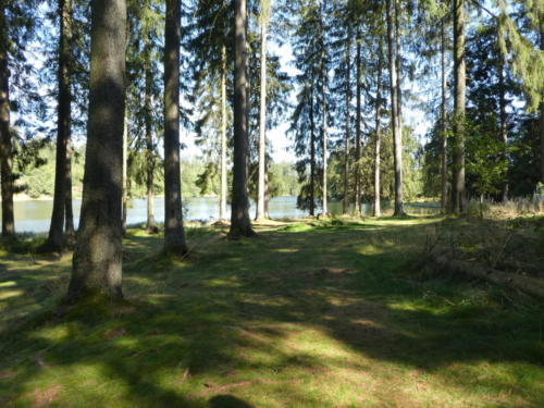 Schöner Ort am Prinzenteich