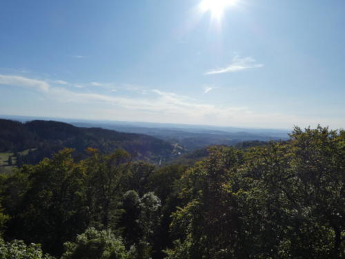 Ausblick vom Aussichtsturm bei der Kuckholzklippe