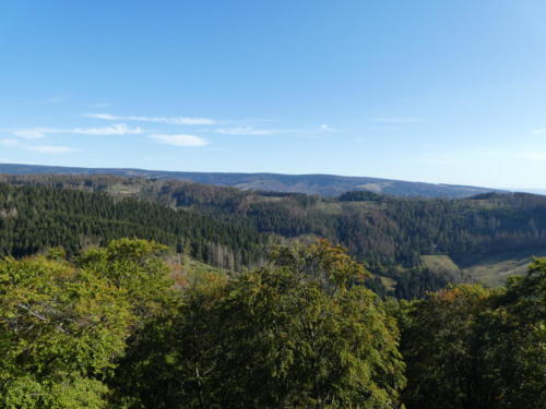 Ausblick vom Aussichtsturm bei der Kuckholzklippe