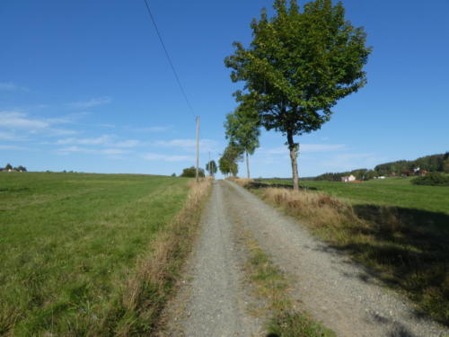 Wanderweg bei Buntebrock