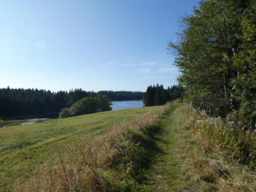 Blick auf den Prinzentecih bei Buntenbrock